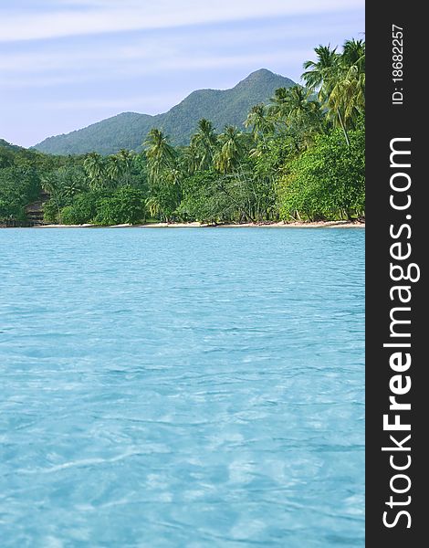 Abandoned lagoon with clear water and palms