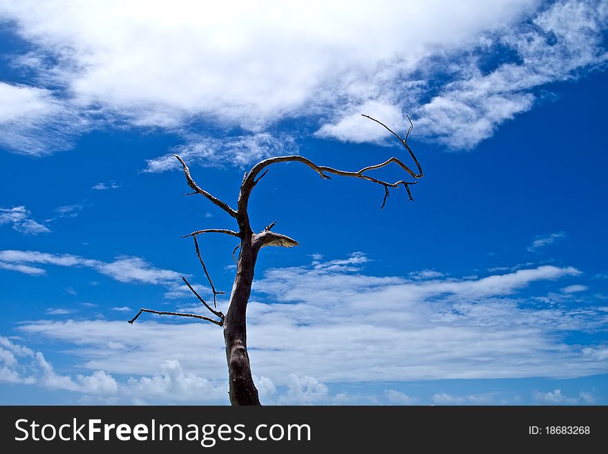 Sky Of Blue Lagoon