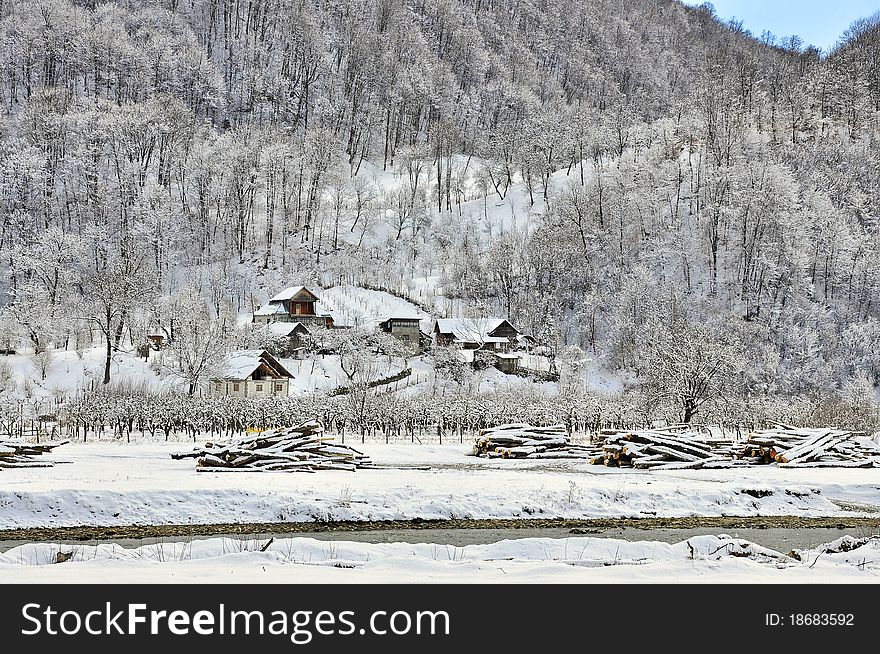 Forest Snowy Cottage