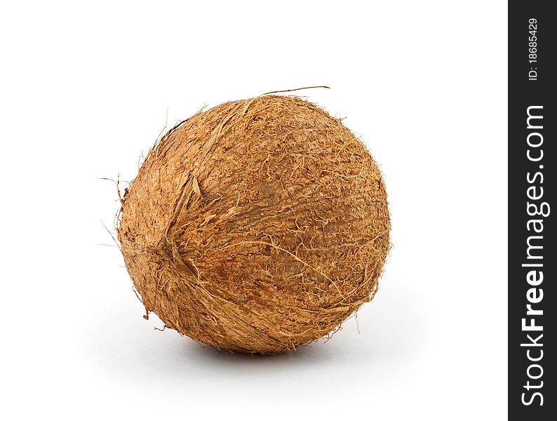Coconut against a white background