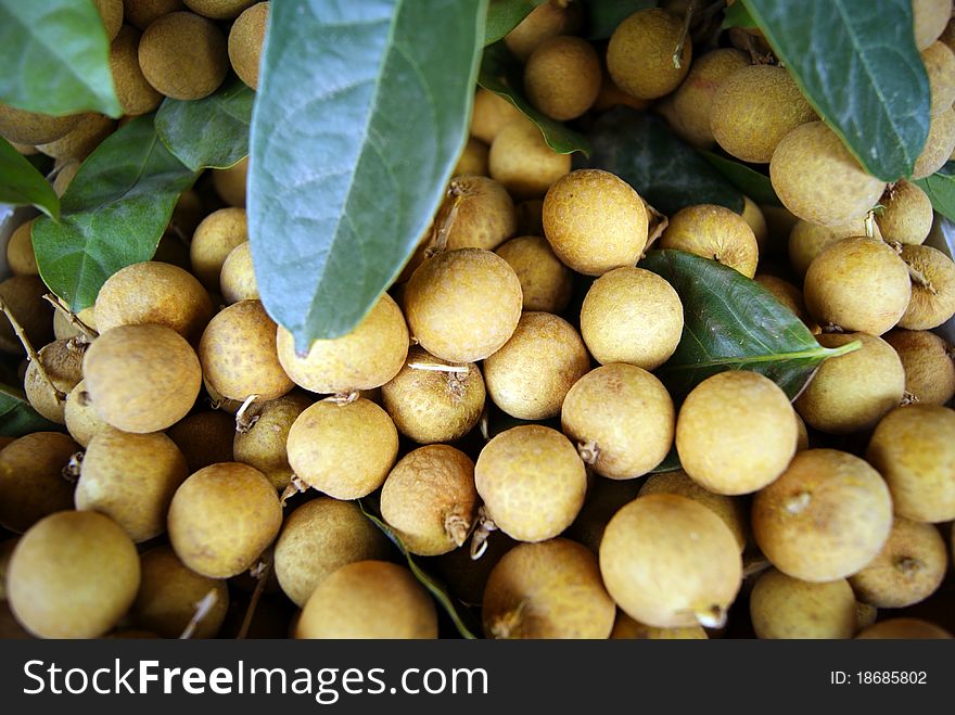 Longan, in fruit store sale. This is one of the delicious fruit.