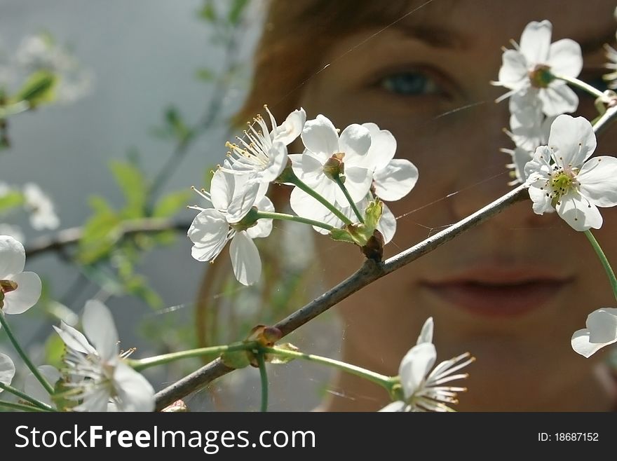 Woman in apple orchard in spring apple blossom time.