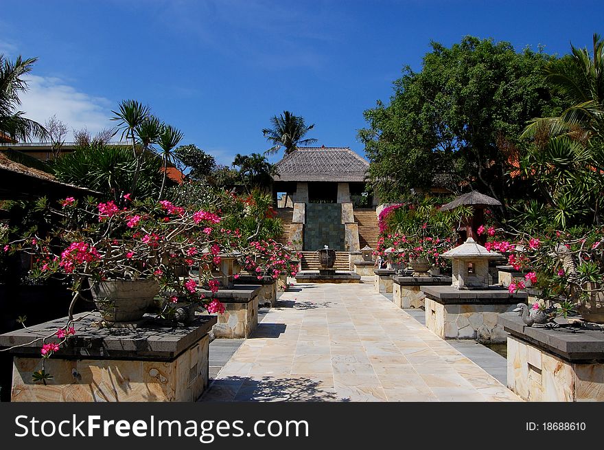 The garden in summer, Indonesia