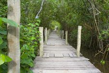 Wood Path Royalty Free Stock Images Wood Path Royalty Free Stock Images