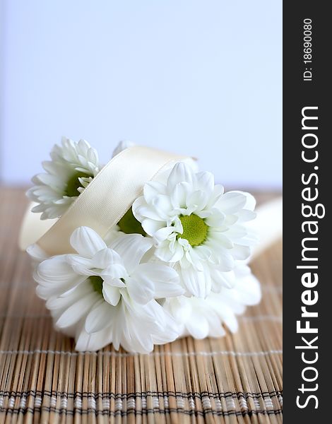 White daisies wrapped with beige ribbon.