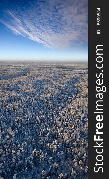 Aerial view of forest plain in time of sunny winter day. Aerial view of forest plain in time of sunny winter day.