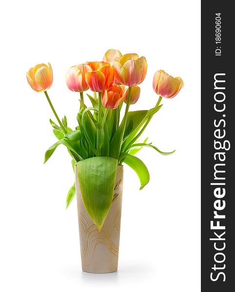Colourful tulips in ceramic vase on a white background. Isolated path included.