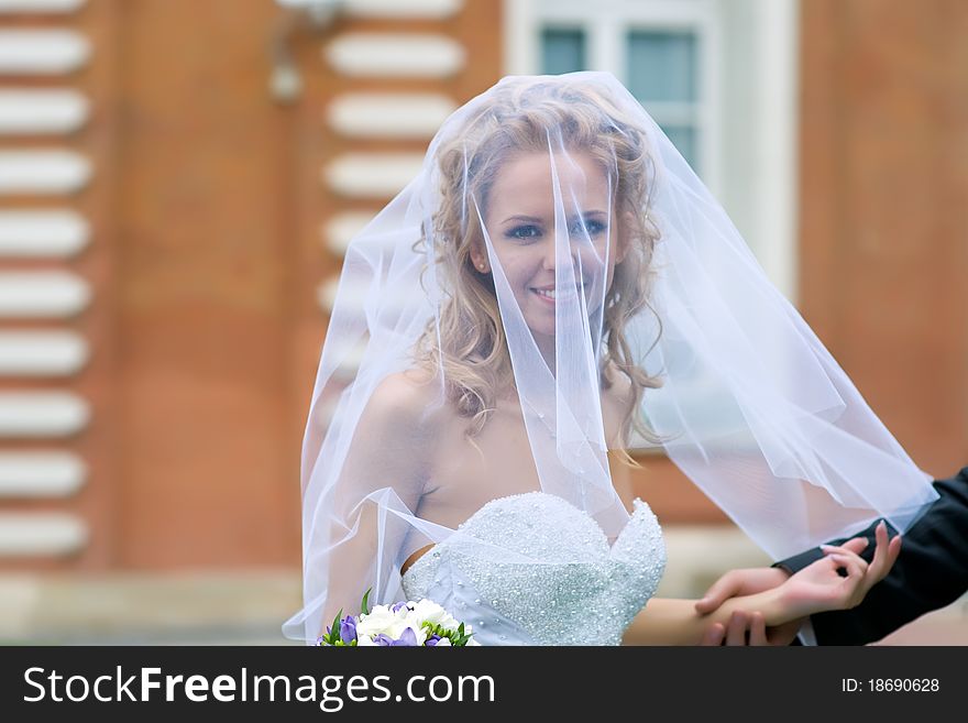 Happy bride threw a face bridal veil and looks with a smile through the thin veil, visible hand of the groom, who holds the hand of the bride. Happy bride threw a face bridal veil and looks with a smile through the thin veil, visible hand of the groom, who holds the hand of the bride