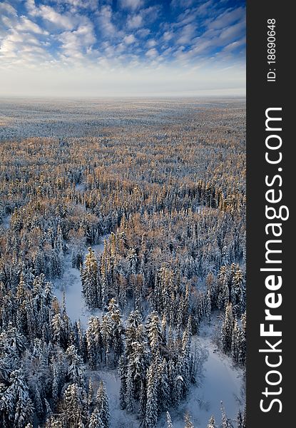 Top View Forest River In A Frosty Day