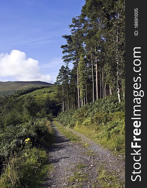 Picture taken at the footstep of Comeragh Mts.in Co.Waterford,Ireland. Picture taken at the footstep of Comeragh Mts.in Co.Waterford,Ireland.