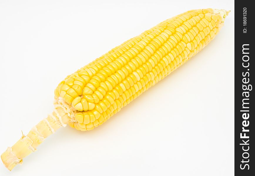 Fresh corn on white background