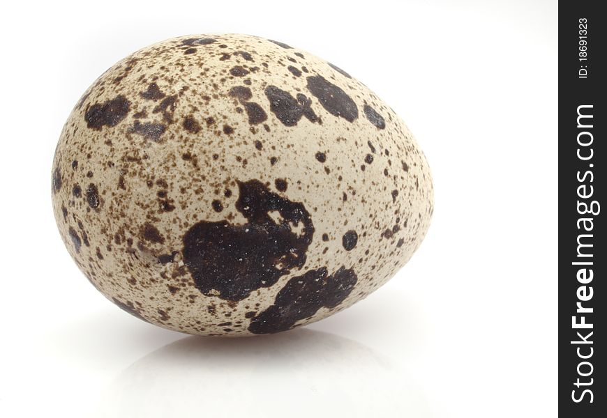 Quail egg