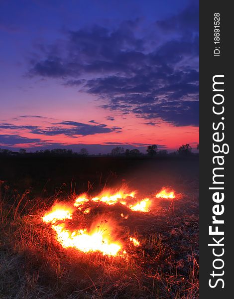 Spring fires in a field at sunset