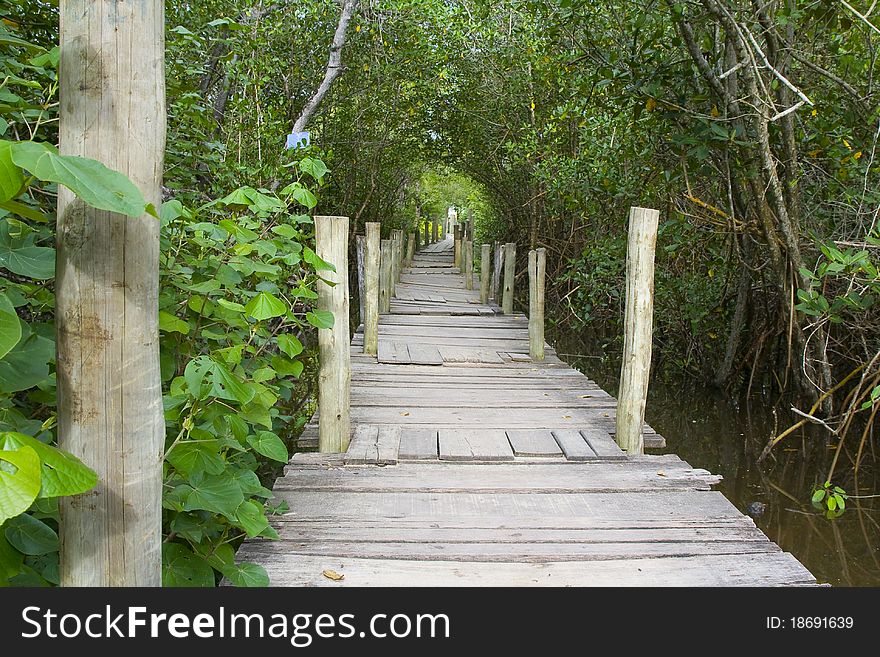 A path to access a beach in Trancoso, Bahia, Brazil. A path to access a beach in Trancoso, Bahia, Brazil