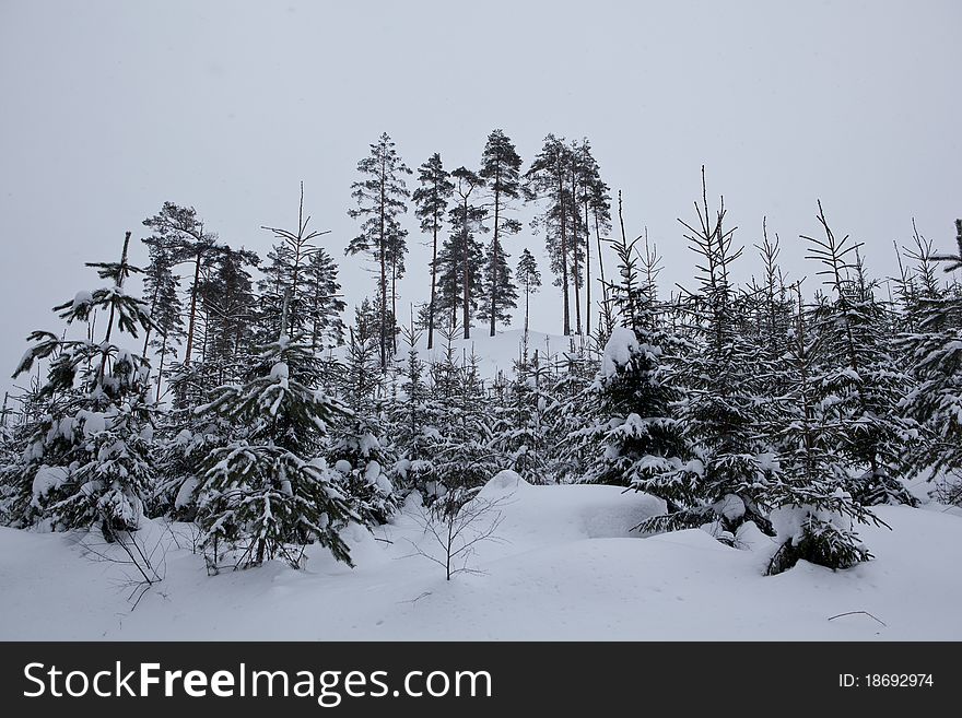 Winter scandinavian route in snow.