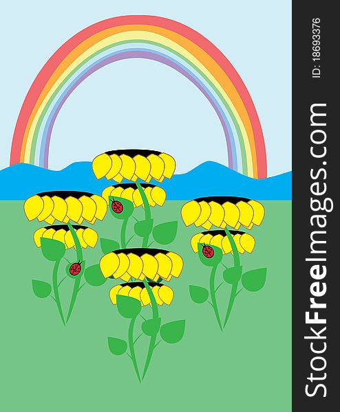 Sunflowers and rainbow. Illustration. Clip