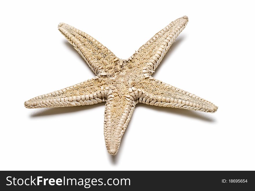 A starfish isolated on a white background. A starfish isolated on a white background.