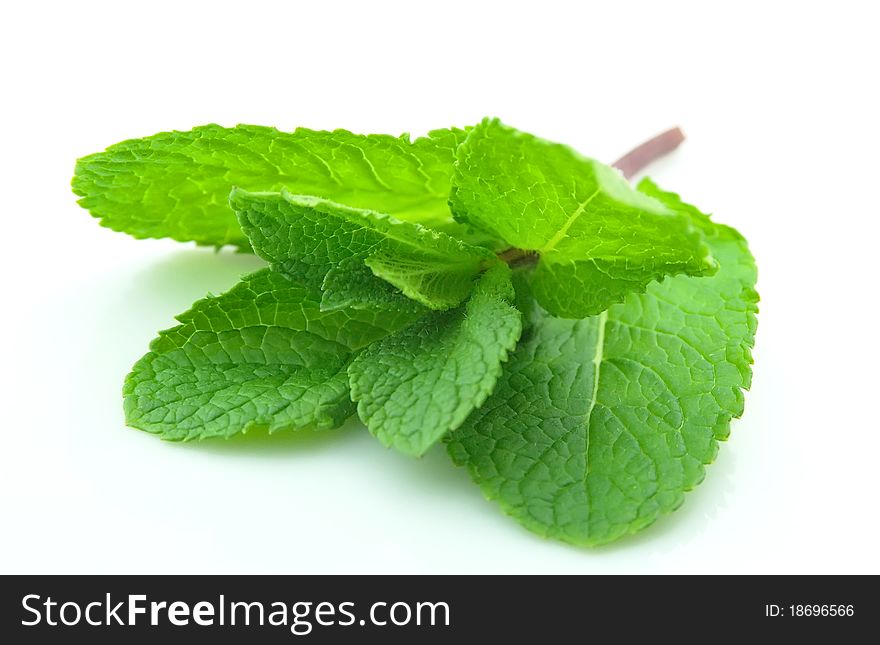 Fresh mint isolated on white background