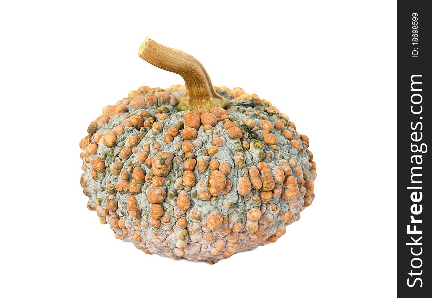 The image of pumpkin on white background