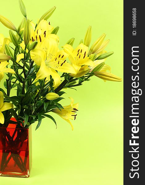 Yellow flower at vase,Yellow background. Yellow flower at vase,Yellow background