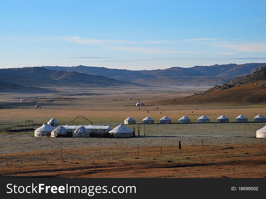 Several Mongolian yurts in the grassland.