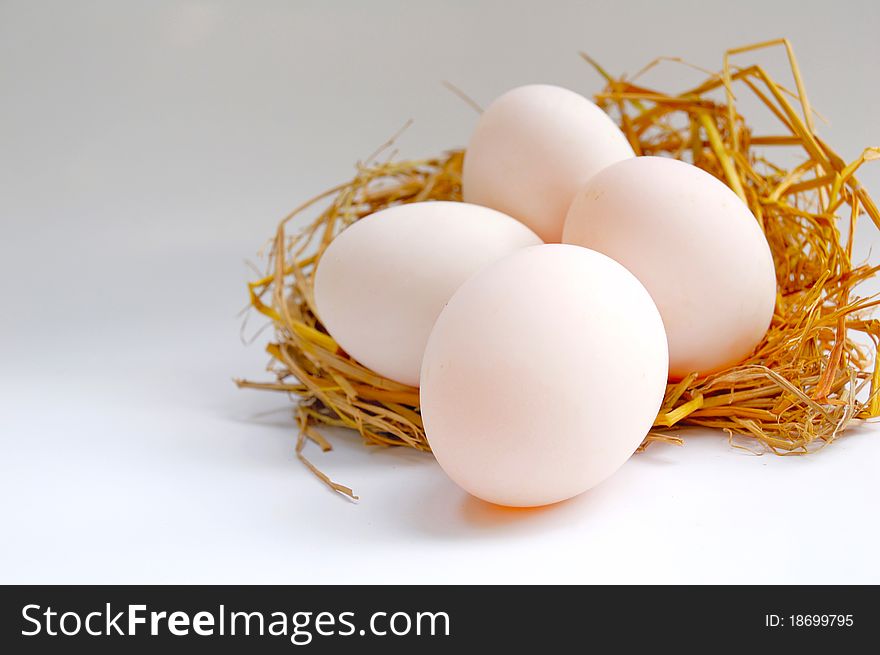 Four white eggs on the net. Four white eggs on the net