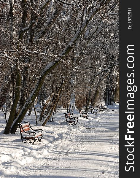 Park alley in winter with row of red benches