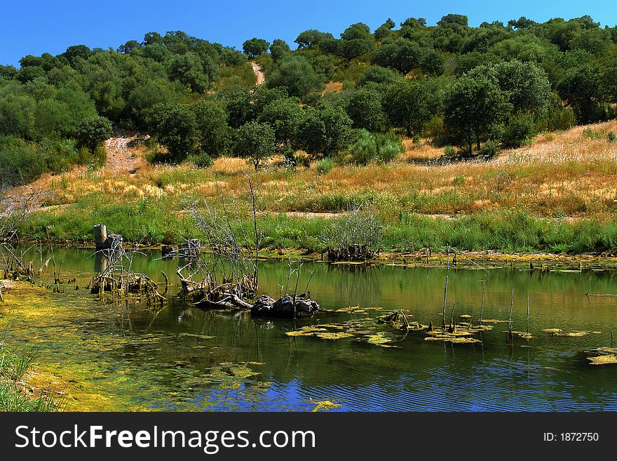 Calm and peaceful country landscape with lake reflecting the blue sky. Calm and peaceful country landscape with lake reflecting the blue sky