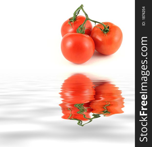 Tomatoes On A Vine