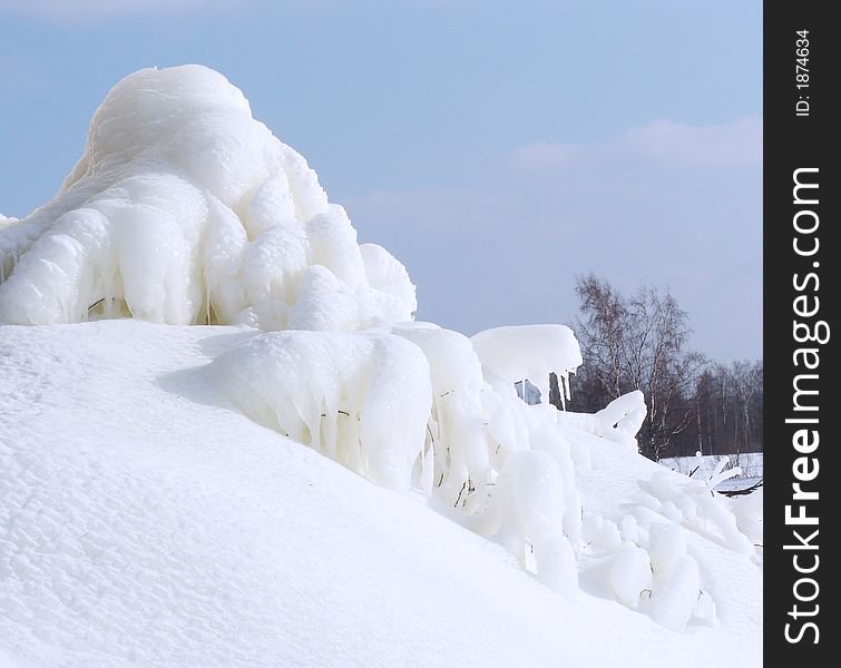 The branches of a bush covered by hoarfrost and an ice. The branches of a bush covered by hoarfrost and an ice