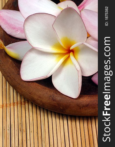 Frangipane flowers on a wooden dish on the rattan background. Frangipane flowers on a wooden dish on the rattan background