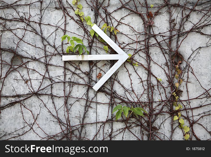 An arrow sign pointing to the right sign among vines on a wall. An arrow sign pointing to the right sign among vines on a wall