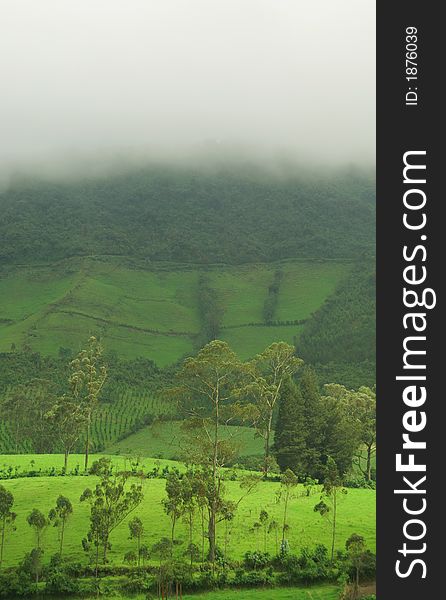 Summer landscape. Green meadow and white fog. Summer landscape. Green meadow and white fog.