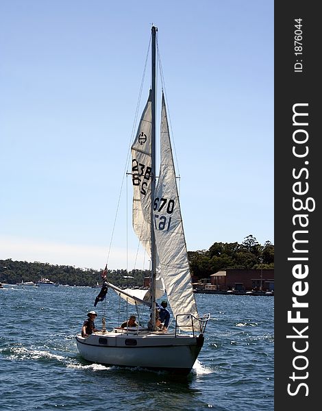 Sail Boat In Sydney Harbour