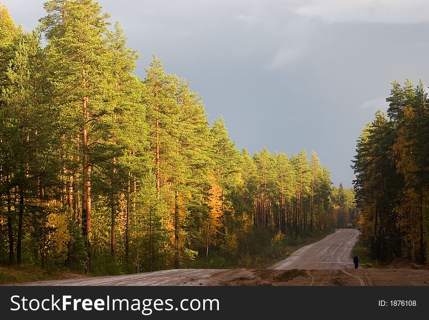 The lonely traveller on autumn road in Kareliya