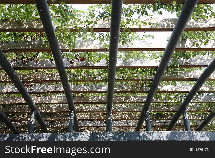 Natural vines climbing around a metal frame. Natural vines climbing around a metal frame