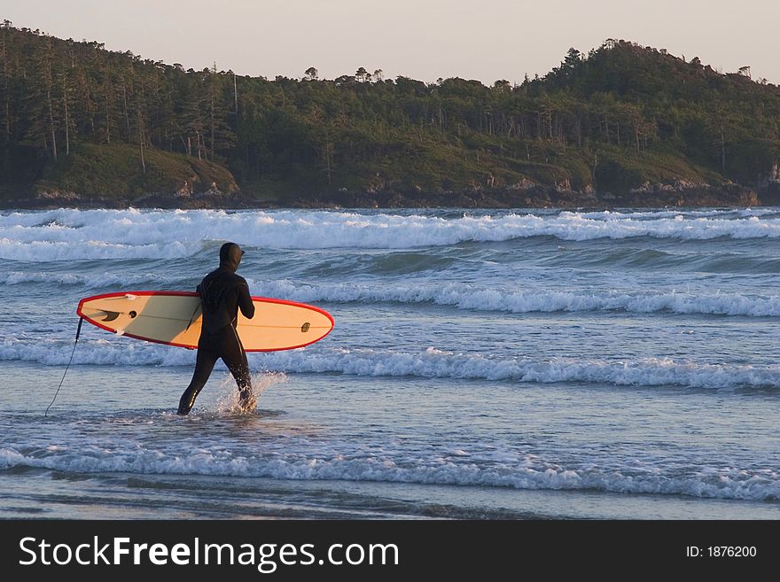 A surfer in a wetsuit carries his yellow and red board into the crashing blue surf, lined with trees, at sunset in the Pacific Northwest. A surfer in a wetsuit carries his yellow and red board into the crashing blue surf, lined with trees, at sunset in the Pacific Northwest.