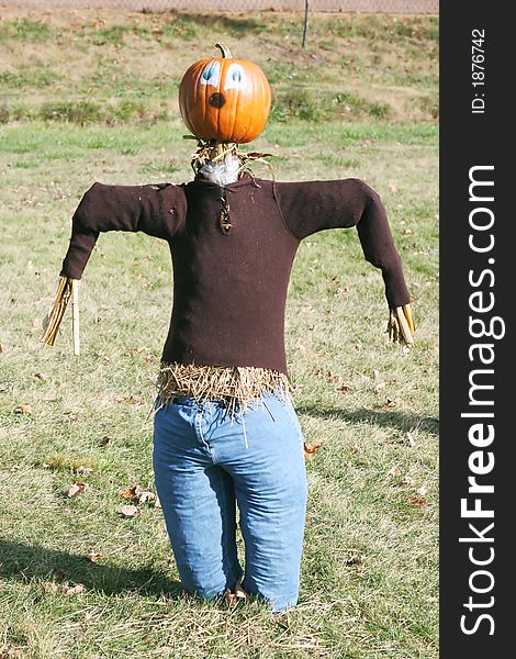 Pumpkin person taken during fall in Canada