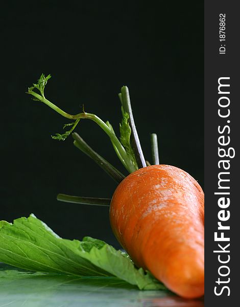 Fresh Carrot On The Colza Background