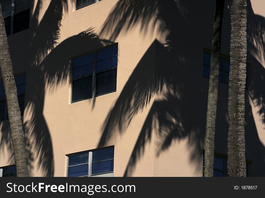 A condo with very strong reflections of nearby palm trees. A condo with very strong reflections of nearby palm trees