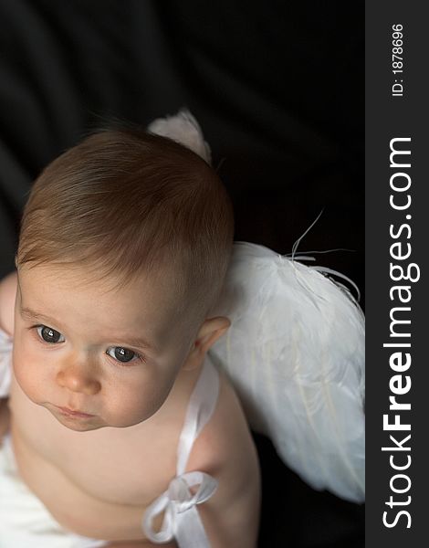 Image of baby wearing angel wings. Image of baby wearing angel wings