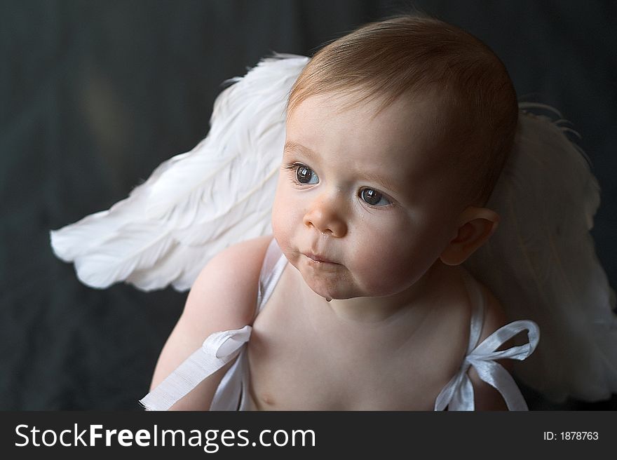 Image of baby wearing angel wings. Image of baby wearing angel wings