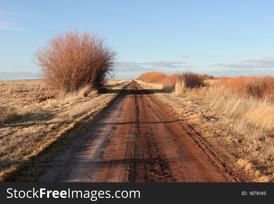 Straight gravel road; clean, crisp, sharp image.