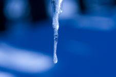 Icicle Royalty Free Stock Image