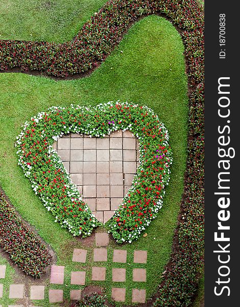 Heart shape of flower and plant in a garden. Heart shape of flower and plant in a garden