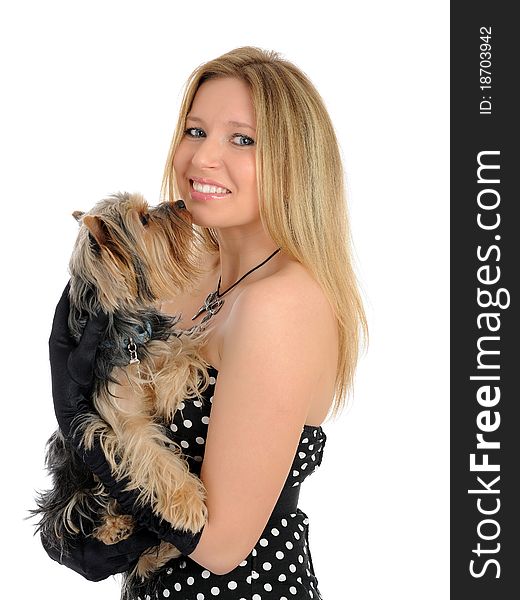 Beautiful blong girl holding small cute york terrier dog. isolated on white background. Beautiful blong girl holding small cute york terrier dog. isolated on white background