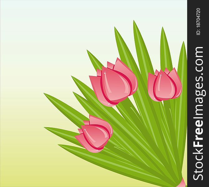 Glossy bunch of pink tulips background. Glossy bunch of pink tulips background