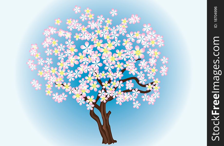 A Flowering Tree.