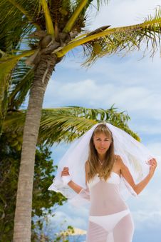 Bride On A Tropical Beach Stock Image