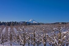 Valley Snow Royalty Free Stock Photos Valley Snow Royalty Free Stock Photos